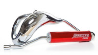 Auspuffanlage Radical Racing Sport