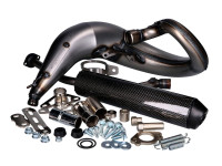 Auspuffanlage Yasuni Cross ML Carbon