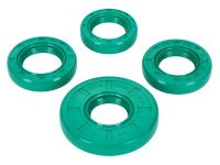 Wellendichtringsatz Motor Schmitt