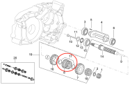 Getrieberitzel Sicheringsring Minarelli OEM