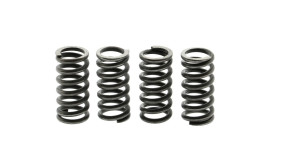 Kupplungsfedern Malossi Kupplungsfedern Malossi Racing
