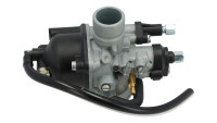 Vergaser Dellorto