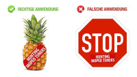 Ananas Aufkleber &#34;Hunting Moped Tuners&#34;