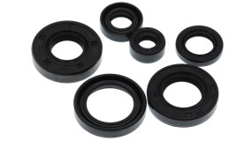 Motorsimmerringsatz Motorsimmerringsatz Motoflow