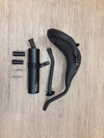 0335 / Gebraucht / Auspuffanlage Radical Stealth