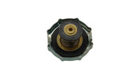 K&uuml;hlerdeckel Fantic OEM