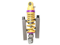 Federbeinpresse Buzzetti