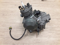 0339 / Neuwertig / Motor (Komplett) Minarelli AM6