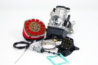 Vergaserkit Malossi MHR Team