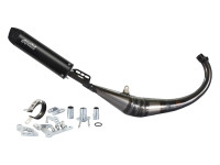 Auspuffanlage Polini Evolution 2