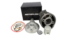 Airsal Sport Zylinder 70ccm Grauguss – Komplettkit Für Generic Trigger SM 50 AM6, Rieju, Motorhispania