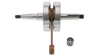 Kurbelwelle Doppler ER1