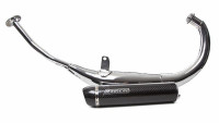 Auspuffanlage Radical Racing Sport Carbon