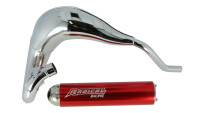 Auspuffanlage Radical Racing Sport