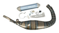 Auspuffanlage Malossi MHR 100