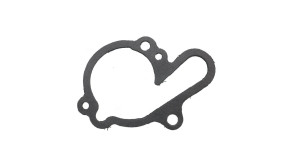 Wasserpumpendeckel-Dichtu Wasserpumpendeckel-Dichtung