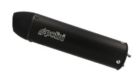 Auspuffanlage Polini Evolution 2